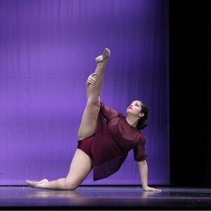 Sheer Burgundy Costume with Stoning Details